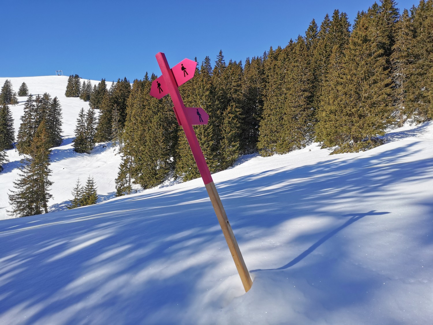 Die pinkfarbigen Wegweiser sind in der Winterlandschaft gut sichtbar. Bild: Andreas Staeger