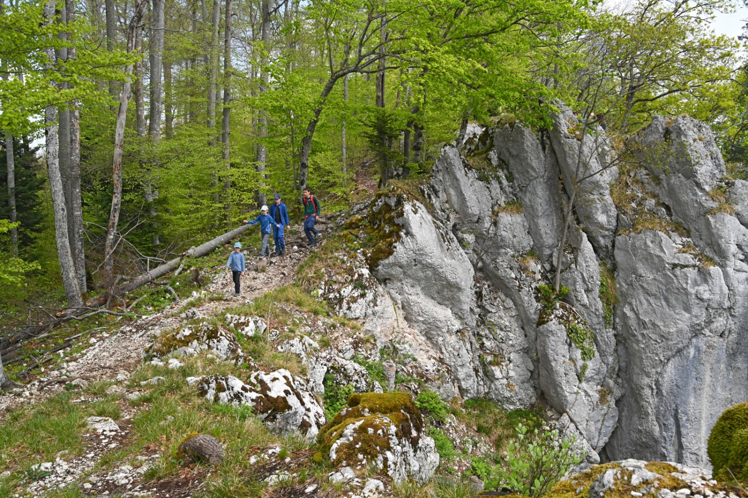 Schroffe Felsen, tiefer Abgrund: zwischen Remelspitz und Roti Flue.
Bild: natur-welten.ch