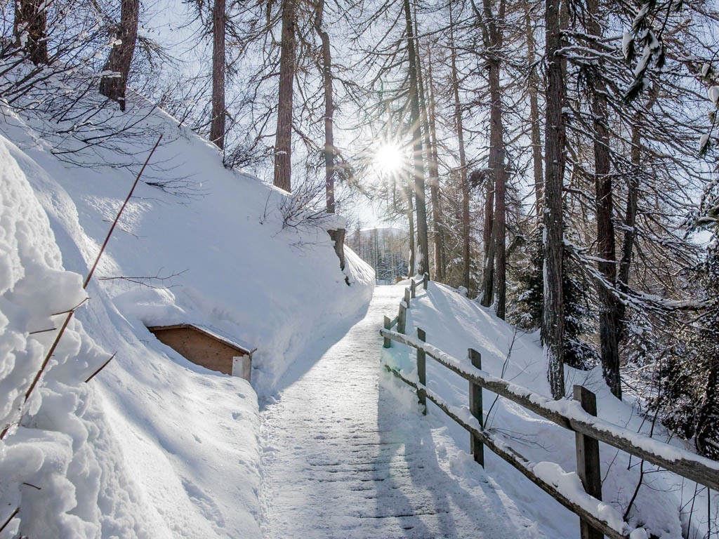 L’ascension est tout à fait faisable grâce au chemin aménagé. Photo: Jannik Paul