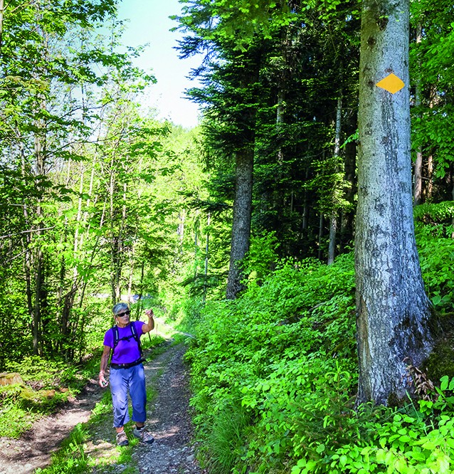 Ruth Scherrer kontrolliert regelmässig 40 Kilometer Wanderwege im Thurgau.