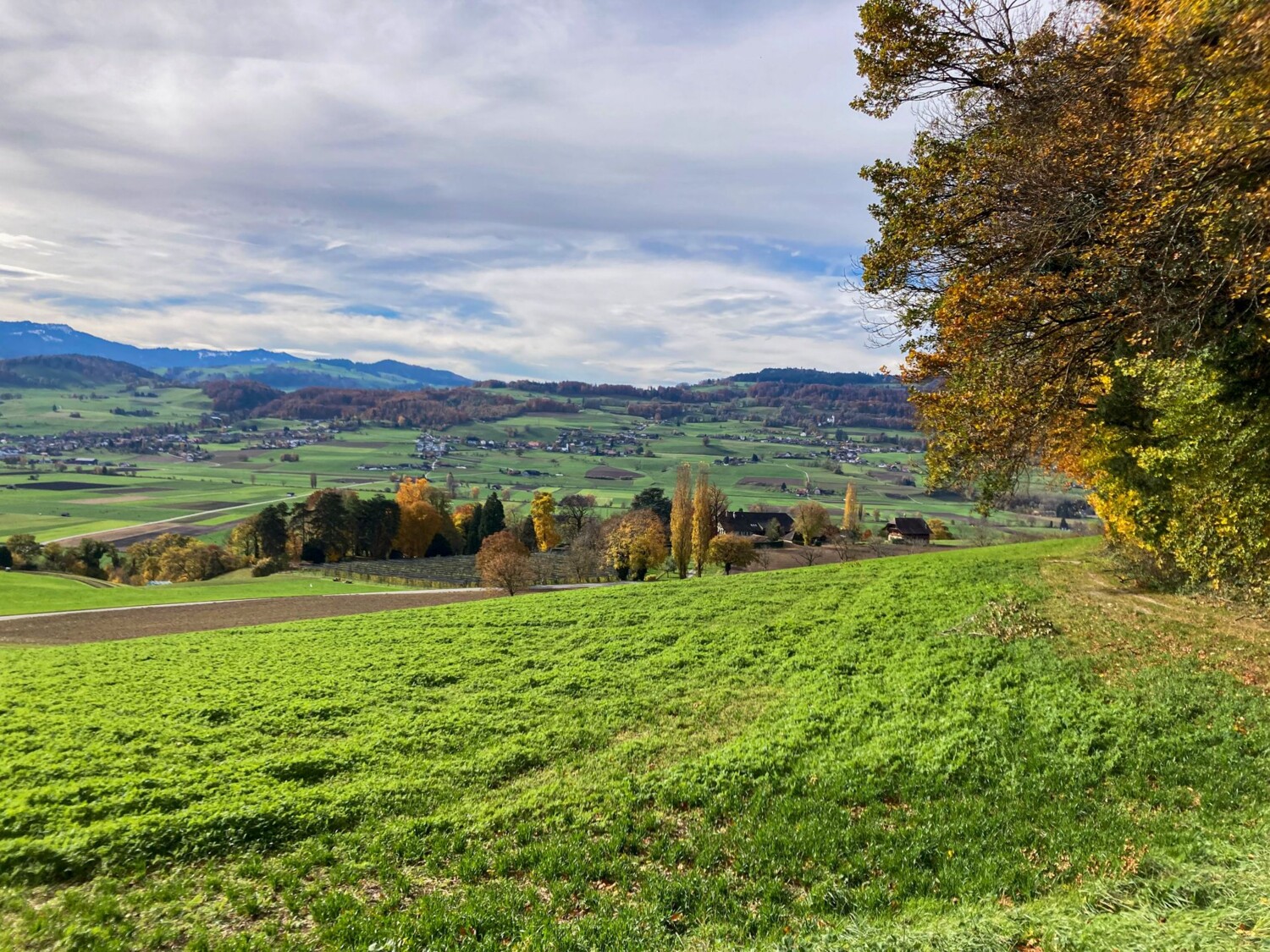 Au pied du Belpberg avec vue sur les collines du Längenberg au-delà du Gürbetal
