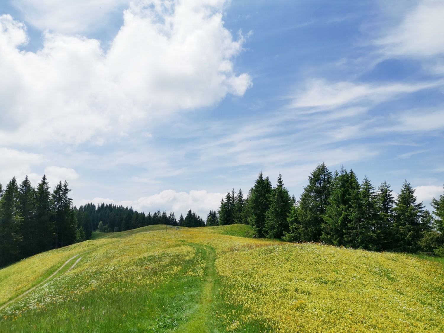 Herrlicher Bergfrühling bei Beichlengfäl, unter der Woche ist man mitunter alleine hier.