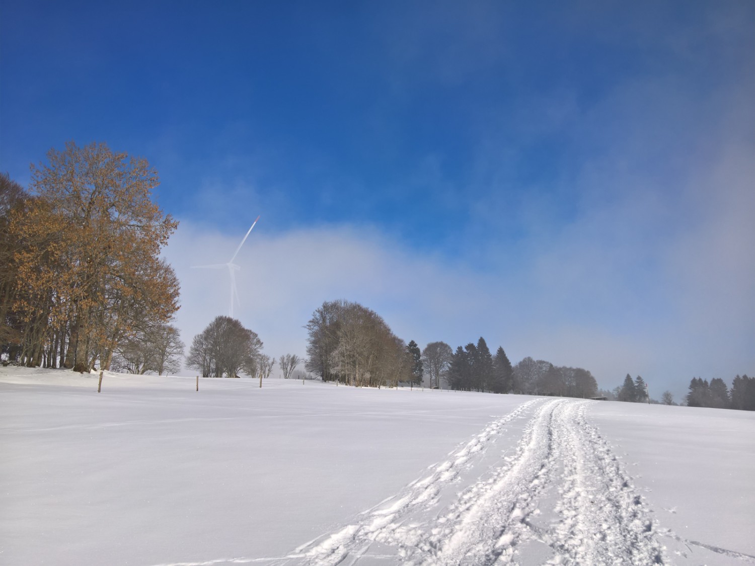 Keine Lawinengefahr und nur geringe Steigung, ideal für Schneeschuhtouren. Bild: Andreas Staeger