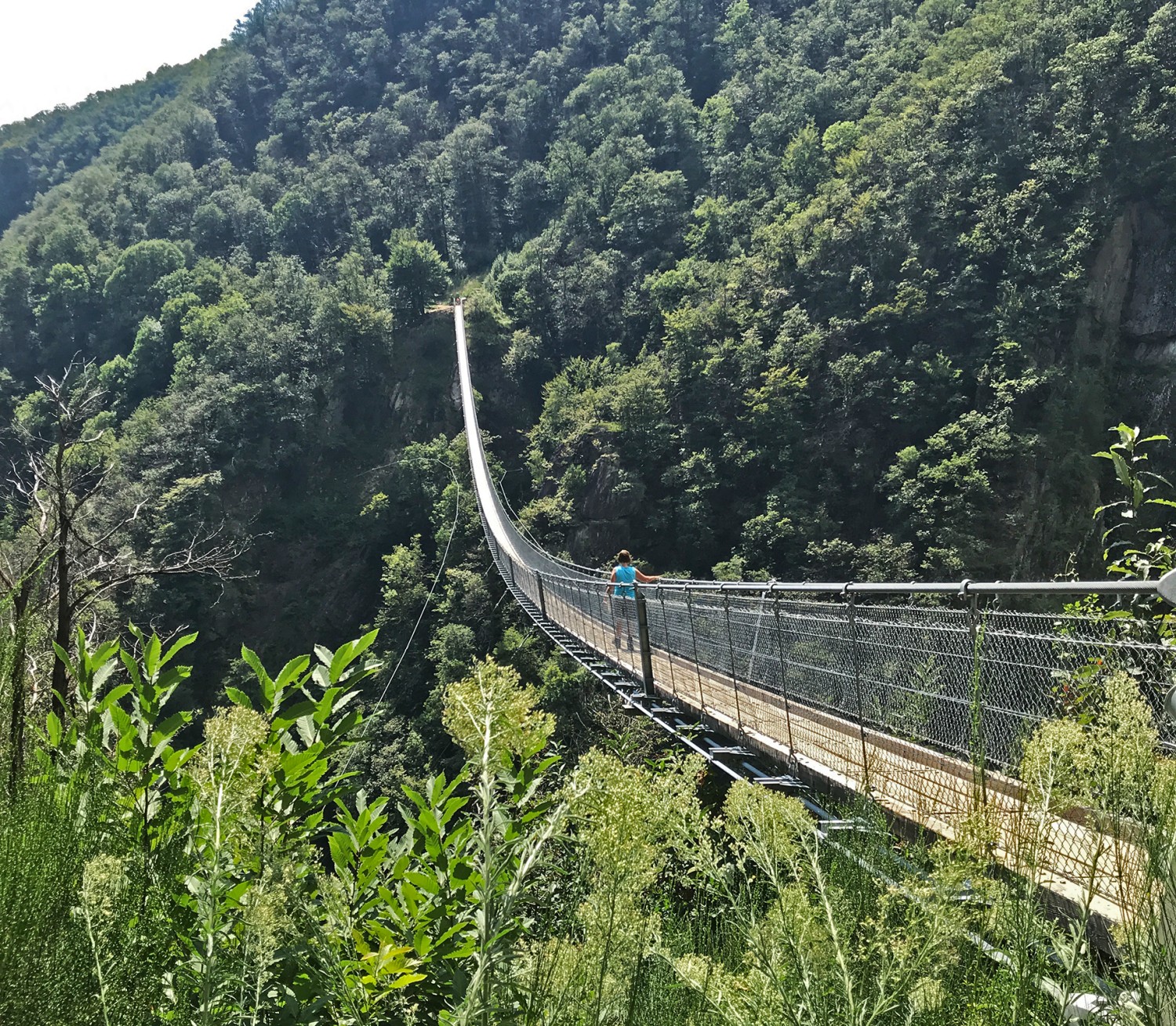 Hängebrücke "Ponte Tibetano Carasc"