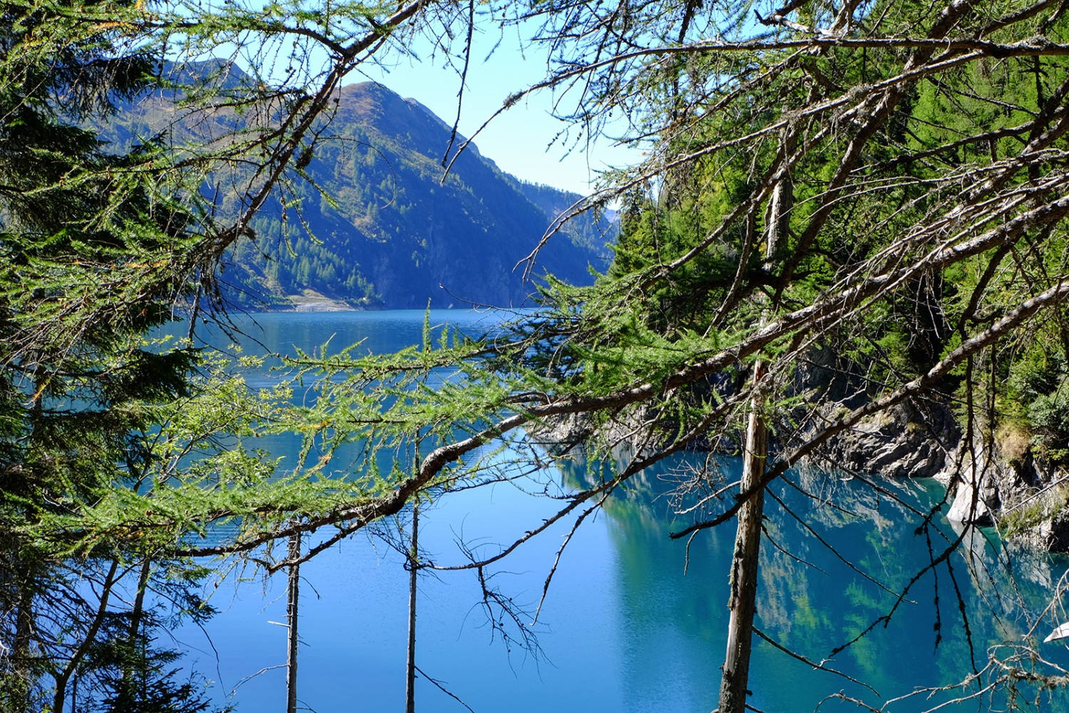 Blu come una genziana. Il Lago di Luzzone si trova 600 metri sotto la Greina.