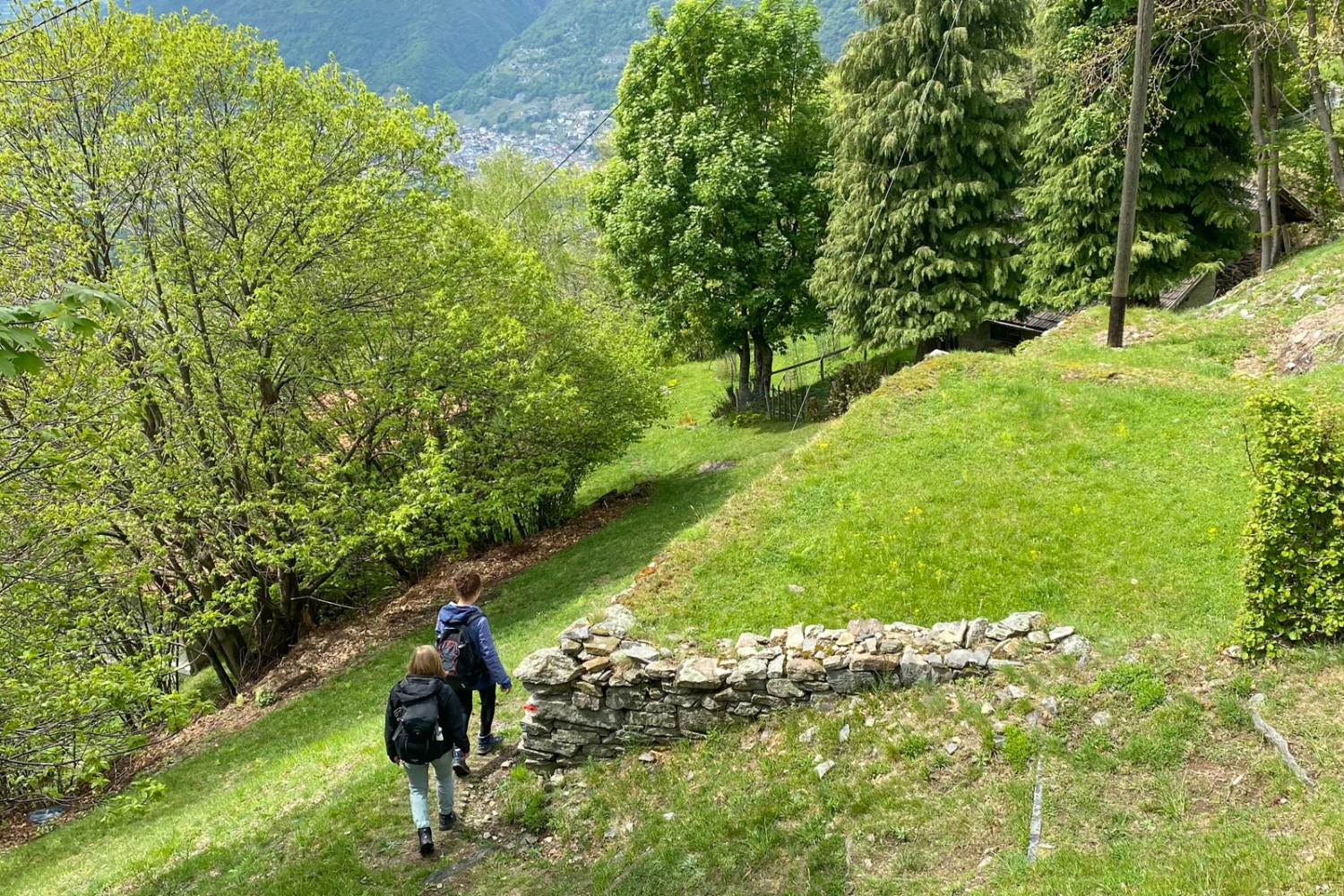 Sulla discesa tra Monti di Ravecchia e Paudo, zizzagando tranquilli verso valle. Foto: Loïc von Matt 