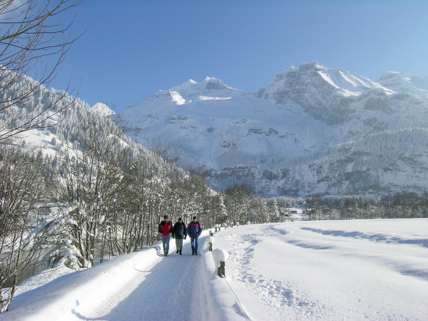 Grossartige Bergkulisse auf dem verschneiten Uferweg entlang der Kander. Bild: Andreas Staeger