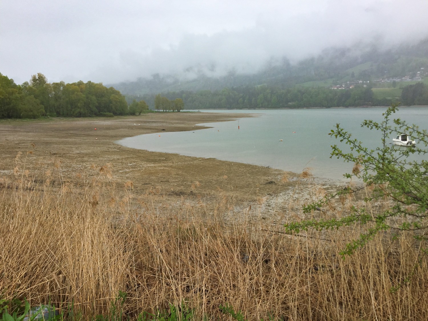 Blick von Bois des Crêts auf Les Laviaux, wo gebadet werden darf. Bild: Rémy Kappeler