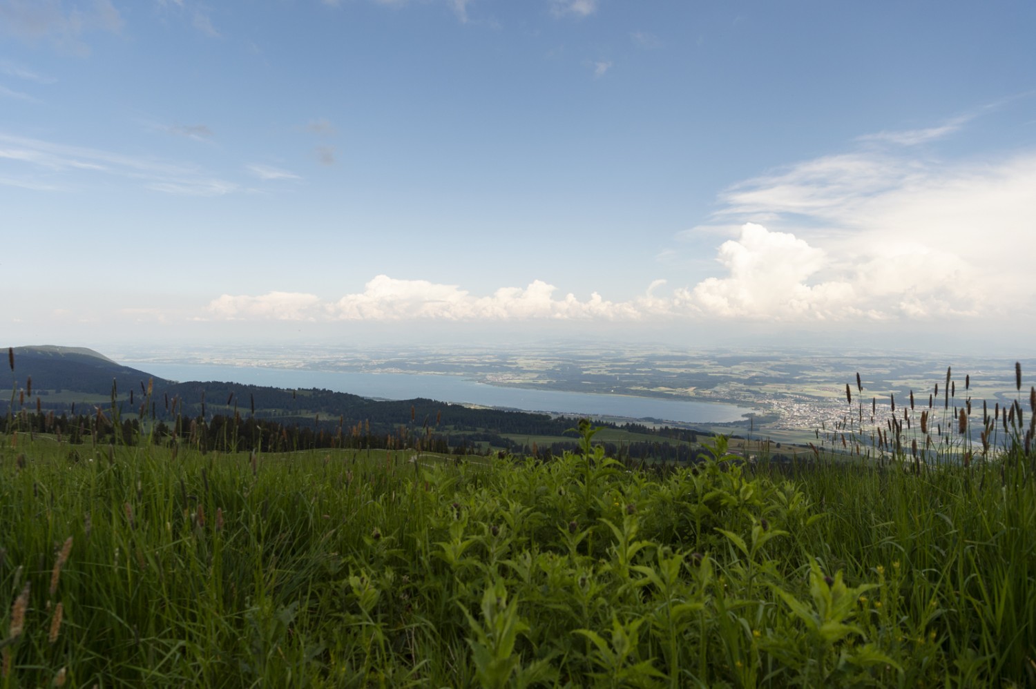 Depuis le côté orienté vers la Suisse, on aperçoit le lac de Neuchâtel. Photo: Raja Läubli