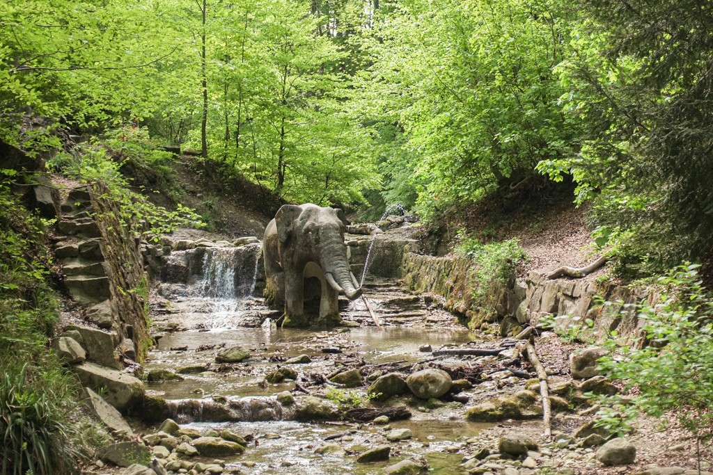 L'elefante è rimasto in piedi nel torrente per oltre 120 anni. Foto: Claudia Peter