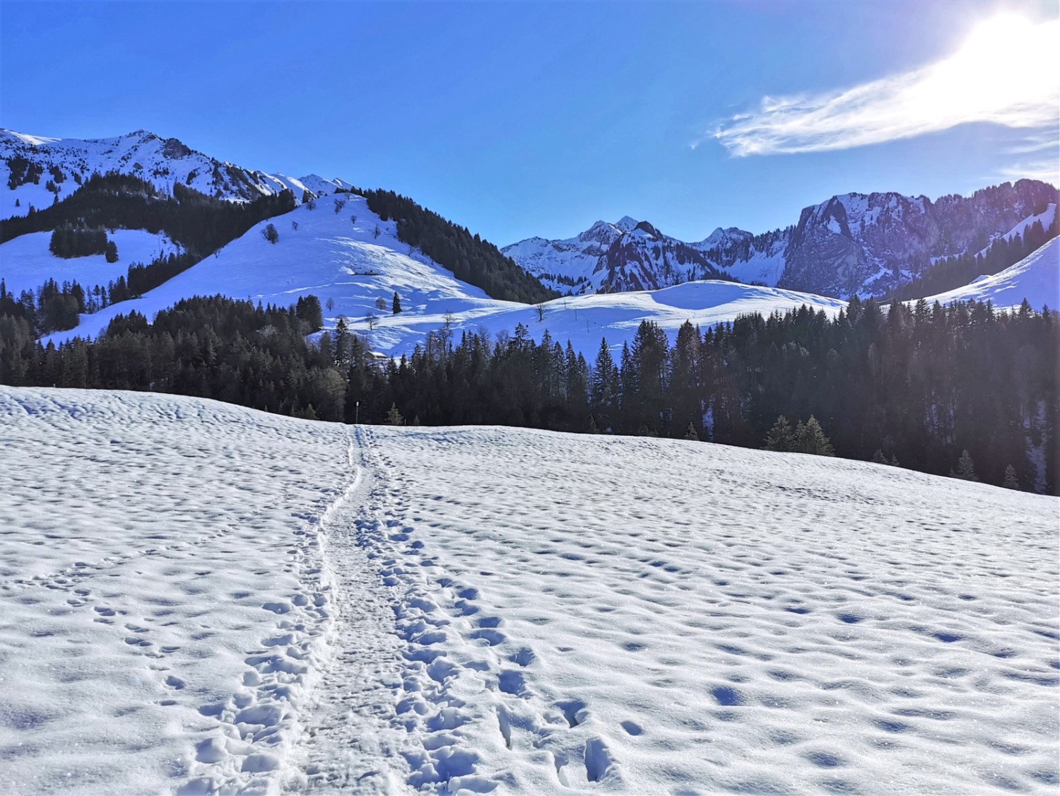 Bei La Grosse Raynauda; im Hintergrund links der Patraflon, in der Mitte der Vanil d’Arpille und rechts die Chaux de Férédetse. Bild: Andreas Staeger