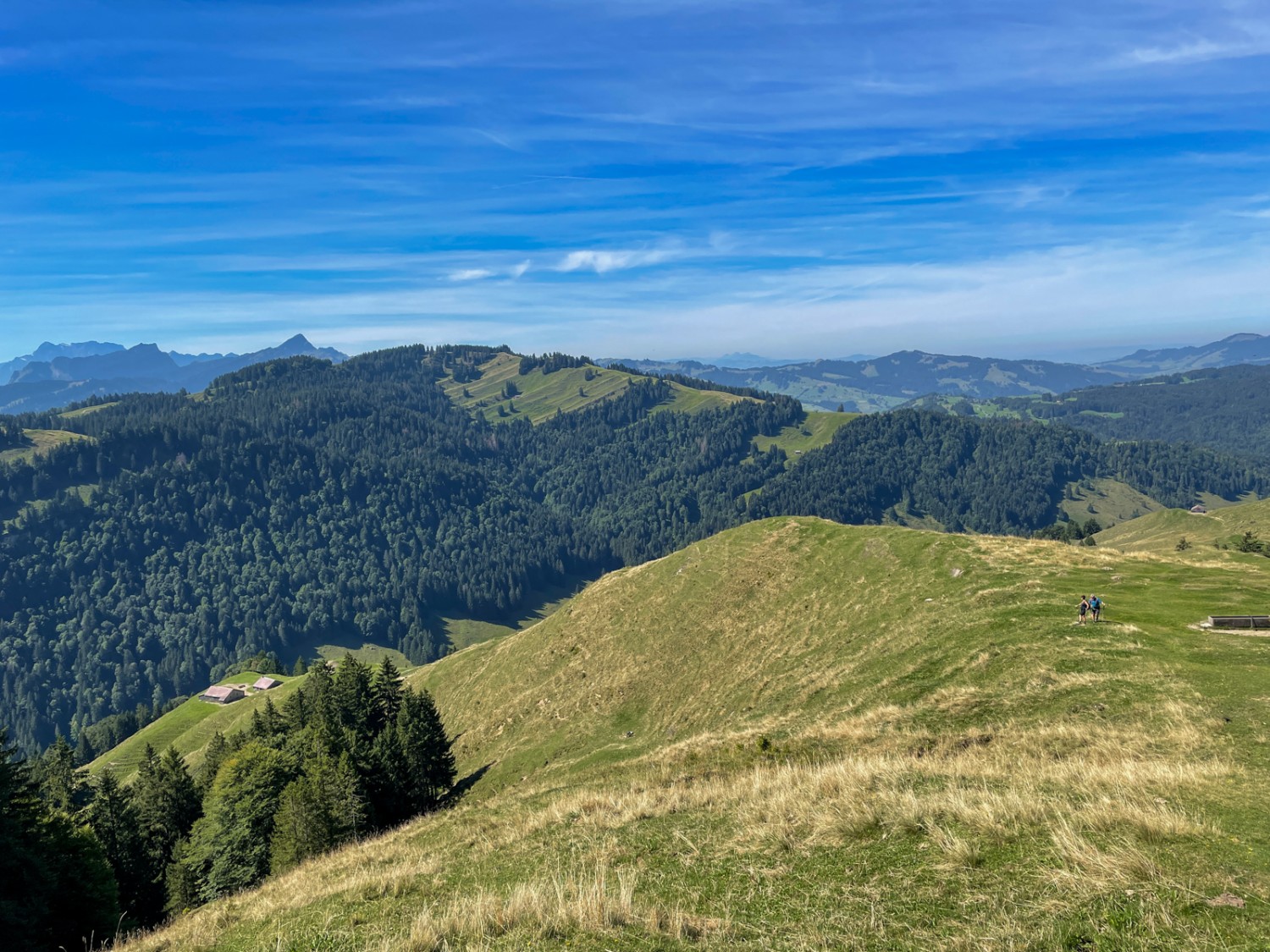 Aussicht in Richtung Neckertal, wo der zweite Teil der Wanderung hinführt. Bild: Claudia Peter