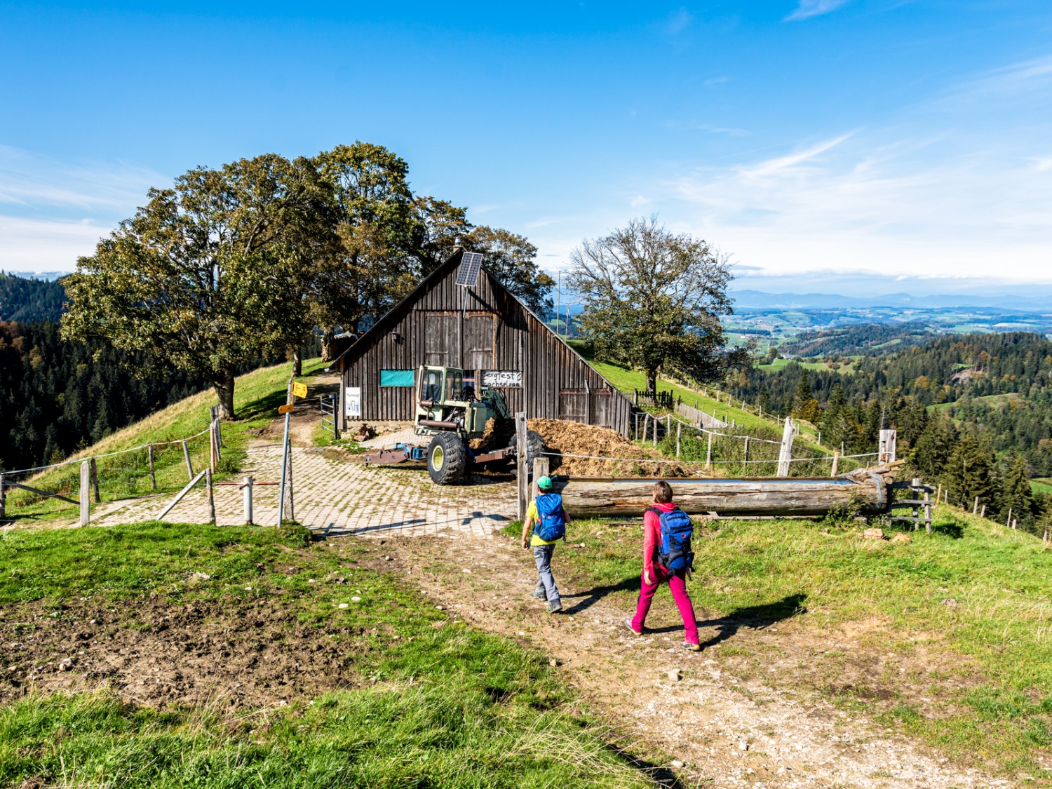 Bei der Alp Trachselegg. Bild: Franz Ulrich