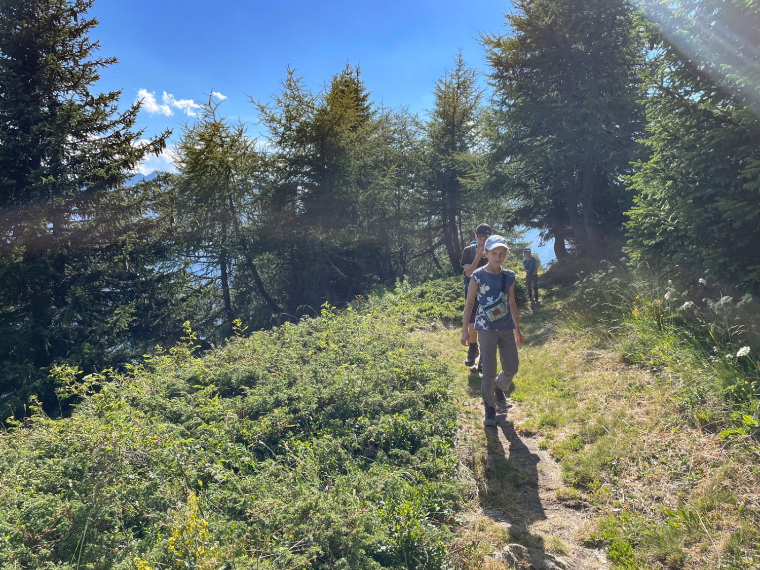 Il bosco si dirada man mano che si sale. Foto: Rémy Kappeler