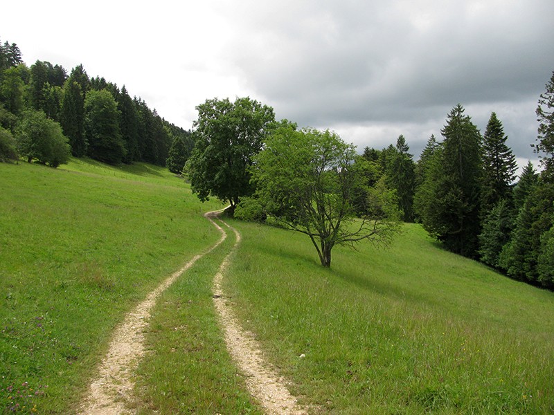 Sorprendente idillio su Stierenberg tra Ober Fringeli e Oberbergli. Foto: Andreas Staeger