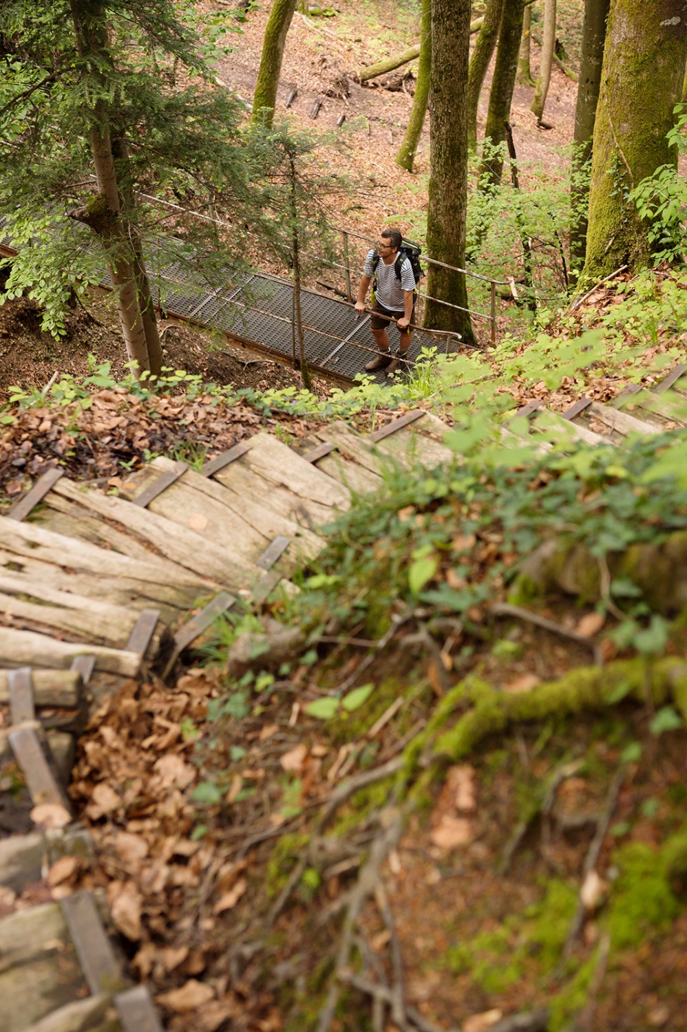 Der Abstieg von der Hohenegg führt über zahlreiche Treppen, Brücken und Stege. 