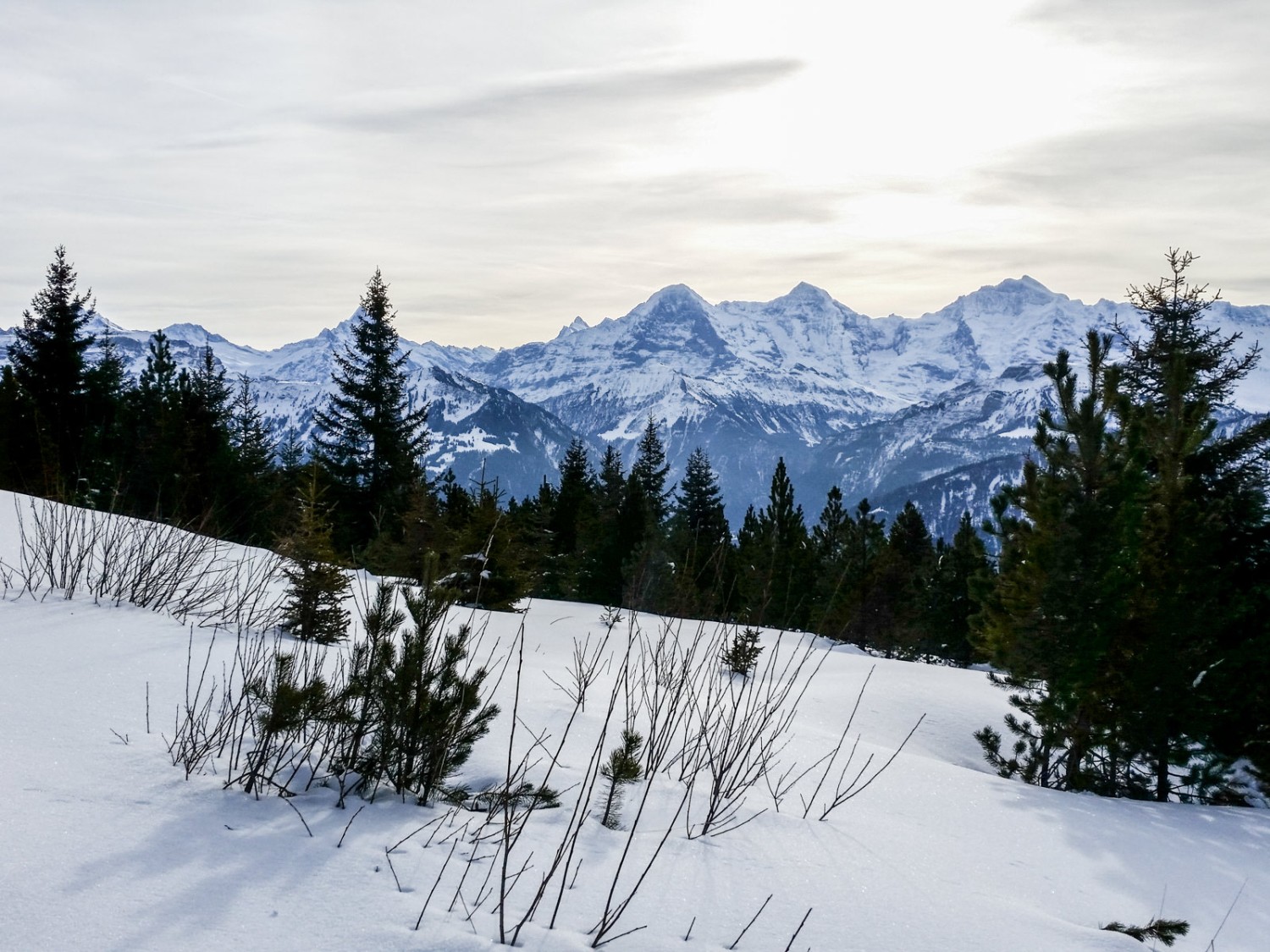 Eiger, Mönch und Jungfrau im Winterkleid.