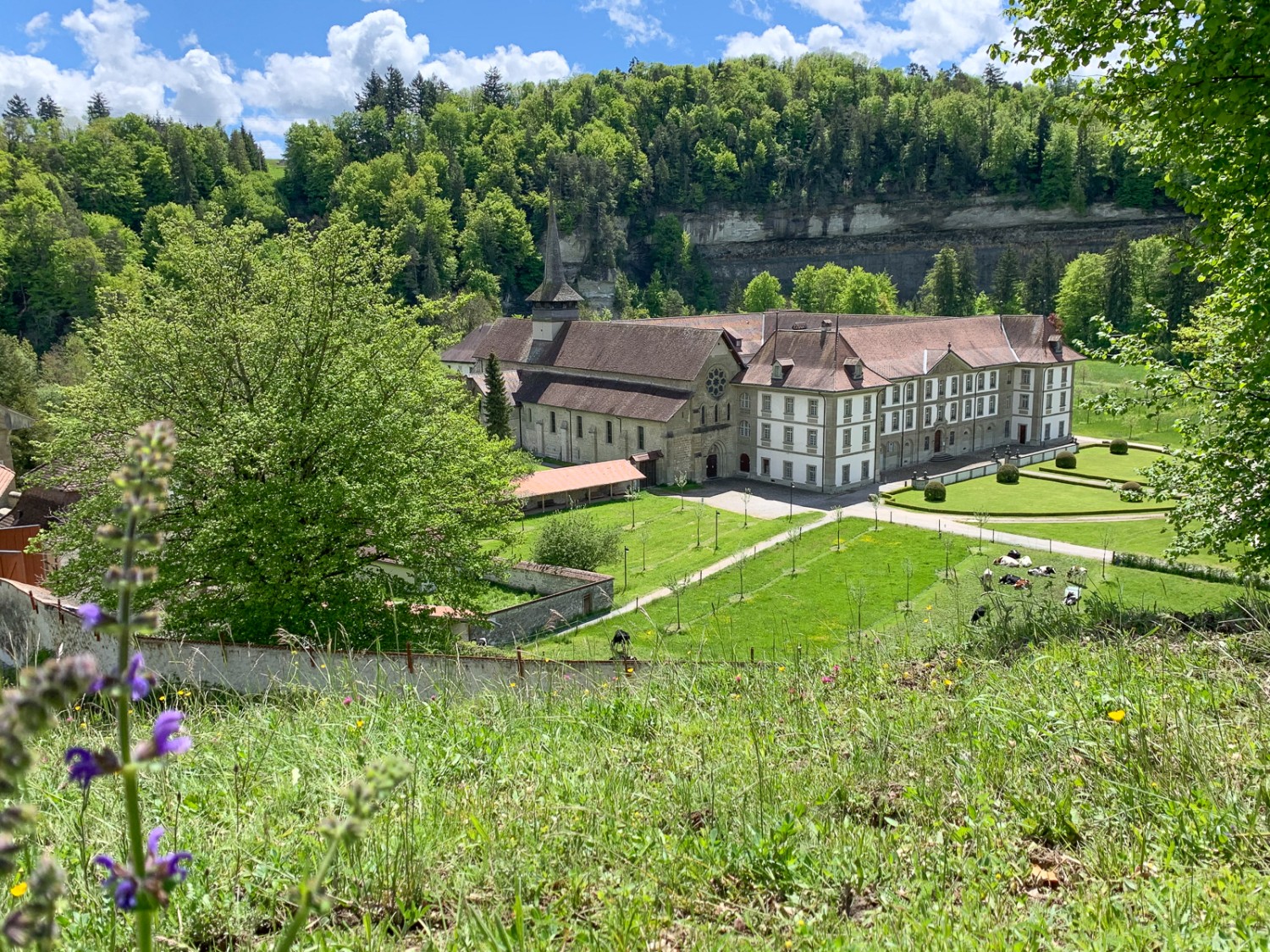 Poco dopo l’Institut Agricole Grangeneuve si può godere di un’incantevole veduta sul monastero di Hauterive. Foto: Monika Leuenberger