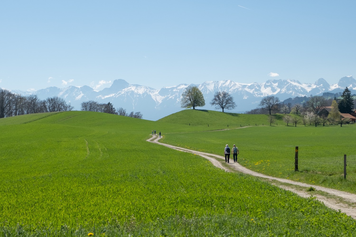 Poco prima del casale di Hofmatt: prati verde intenso dinanzi a cime innevate. Foto: Markus Ruff