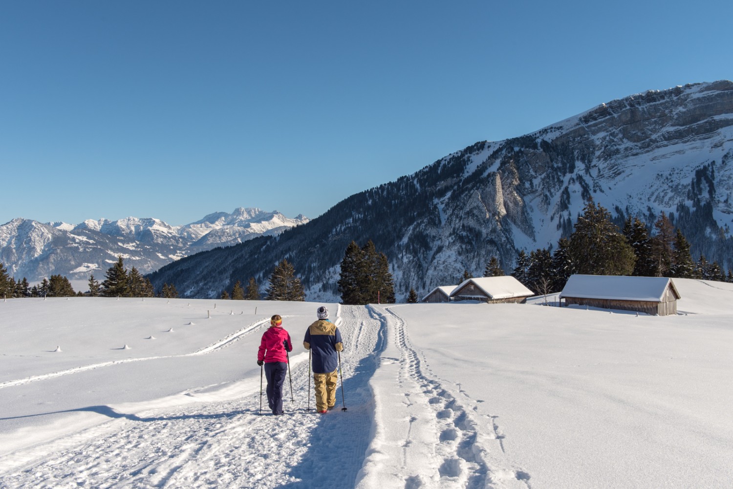 Auf dem Weg zum Gamperfinboden öffnet sich die Sicht zu den Gipfeln Vorarlbergs.