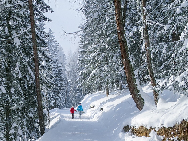 Märchenhafter Winterwald bei Vermala. Bild: Andreas Staeger