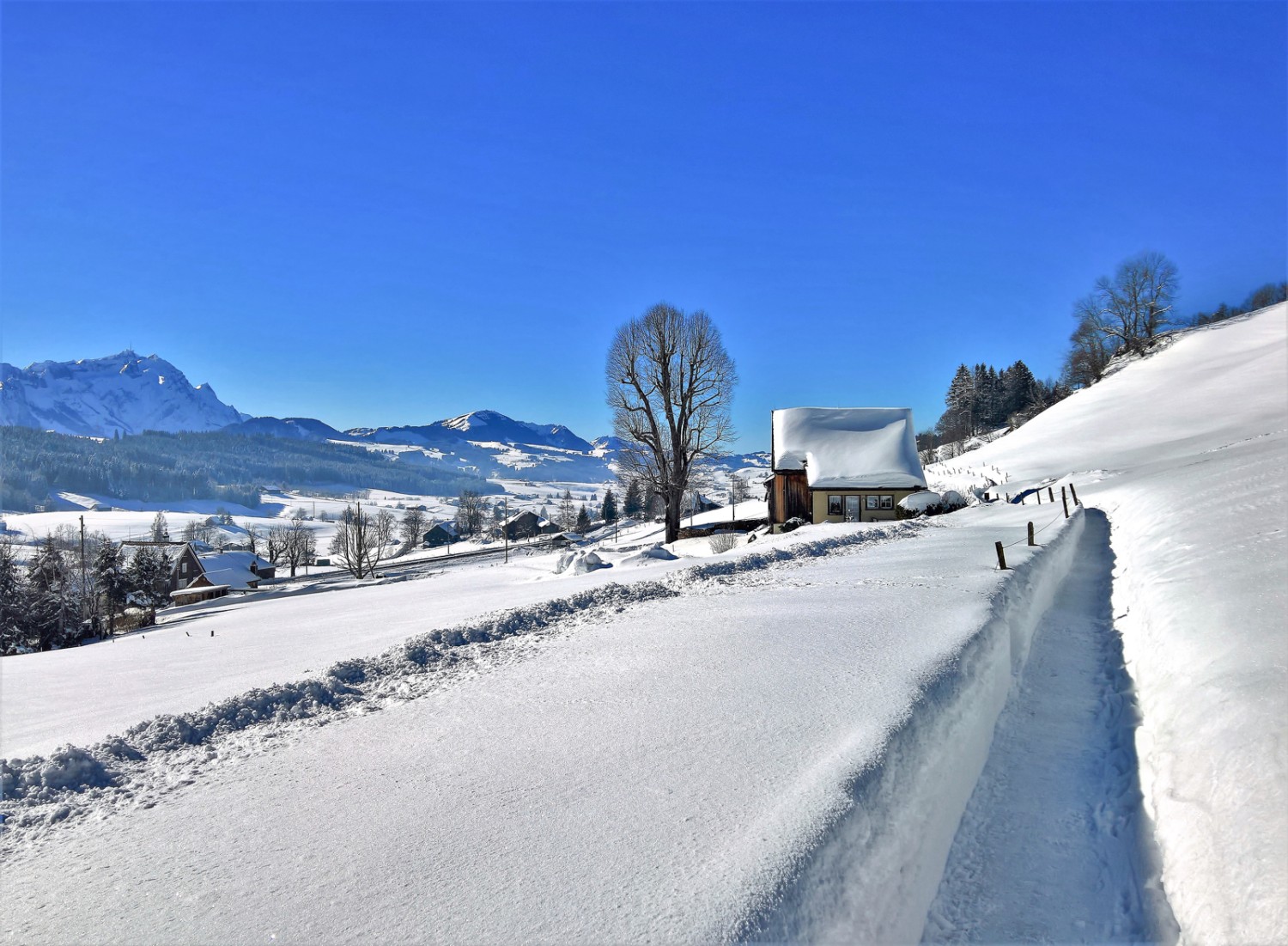 Auf dem Weg von Rietli nach Gais, links der Alpstein. Bild: Andreas Staeger