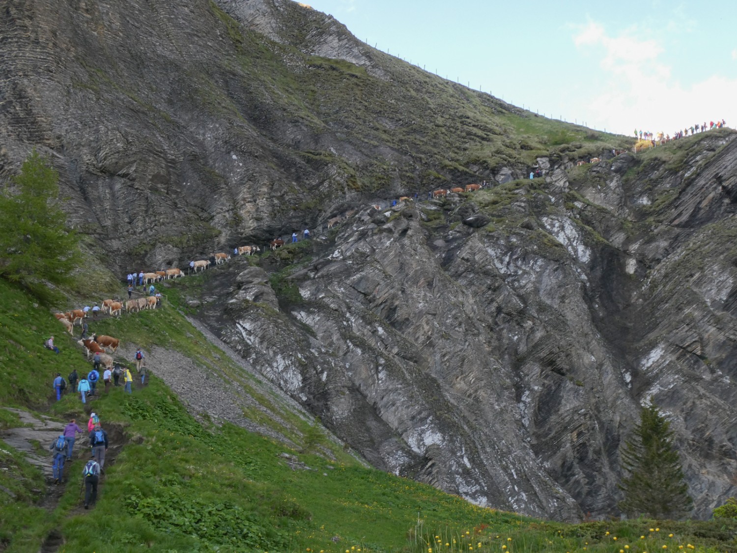 Das Finale. Rechts oben ist die Engstligenalp erreicht.