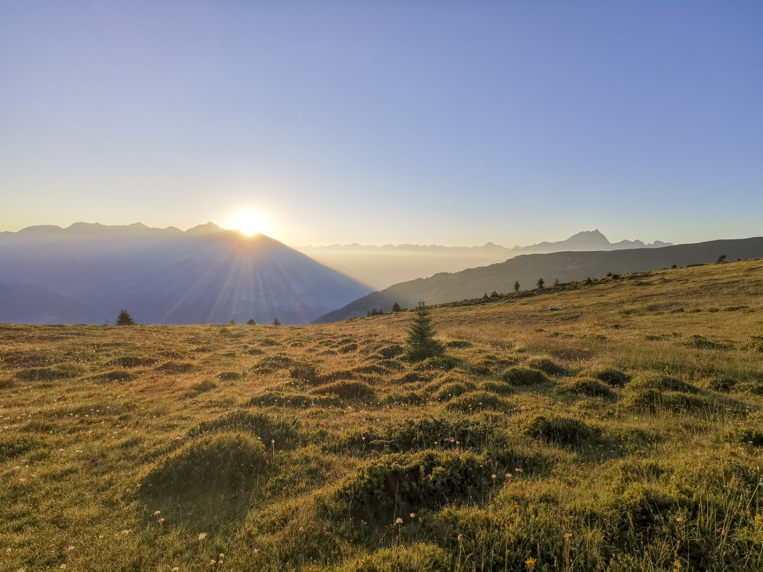 Lever de soleil à l’alpage Muttner. Photo: Andreas Staeger