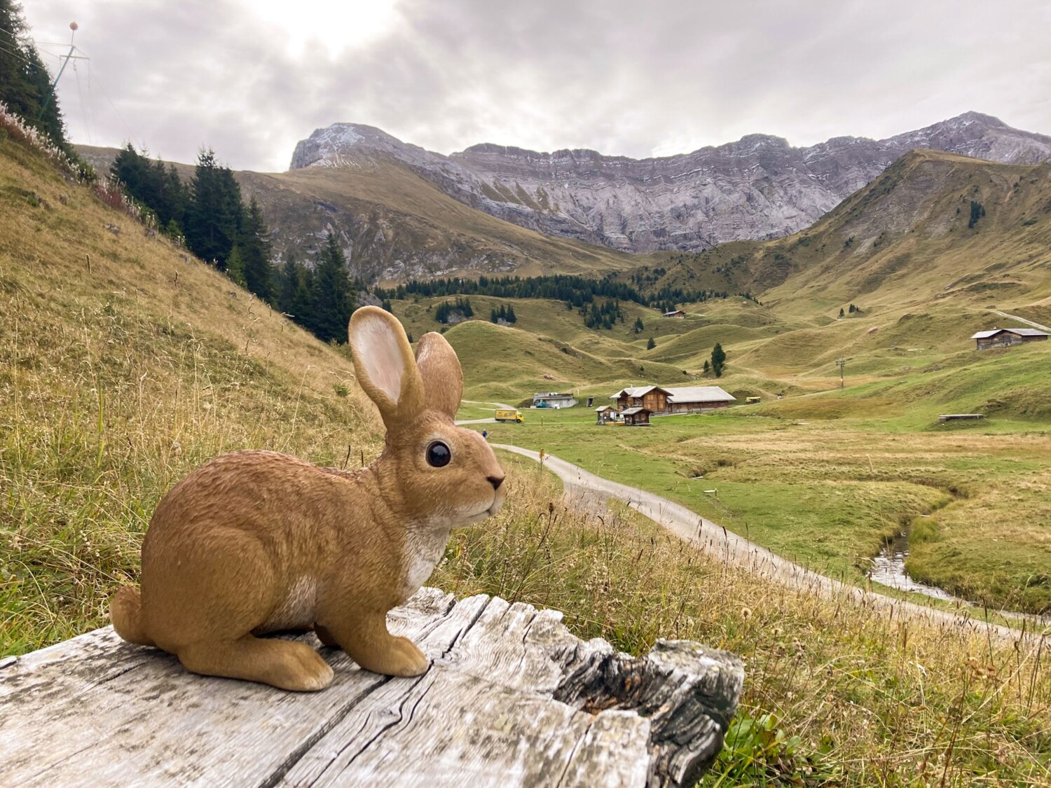 Schon von der Bergstation Elsigenalp ist das Moränen- und Bergsturzgelände sichtbar. Für Kinder sind Plastiktiere versteckt.