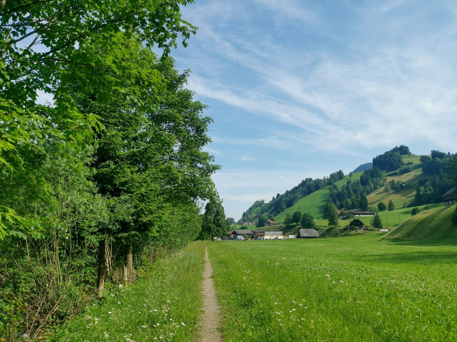 Schnurgerade verläuft der Pfad entlang der Waldemme.