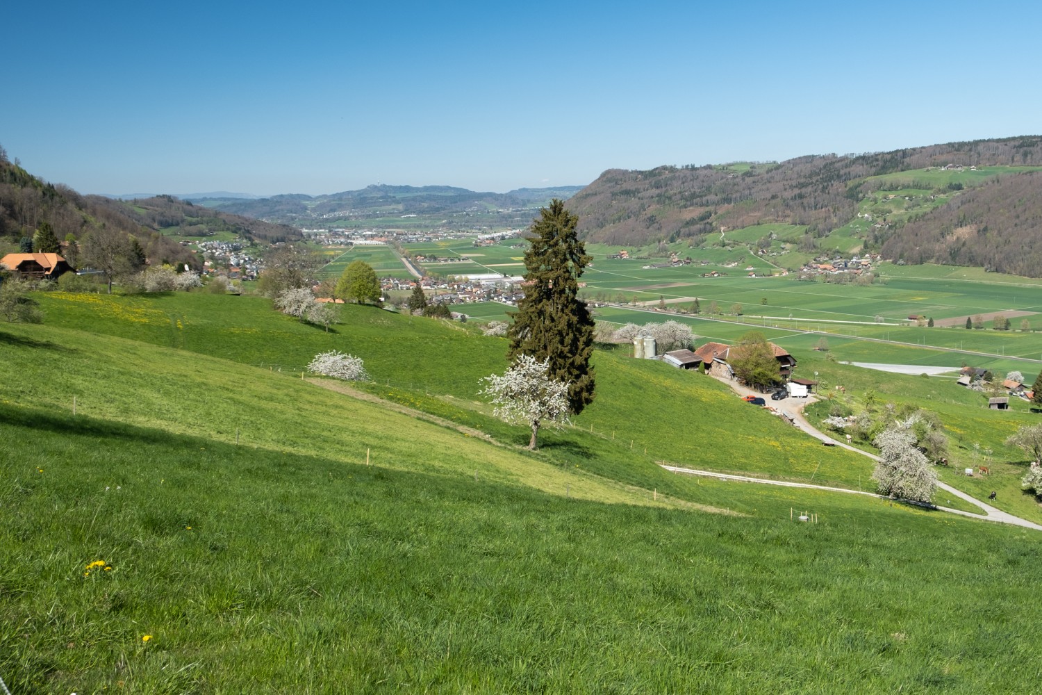 Anche il panorama fin giù nella valle della Gürbe e al ritorno verso Berna è appagante. Foto: Markus Ruff