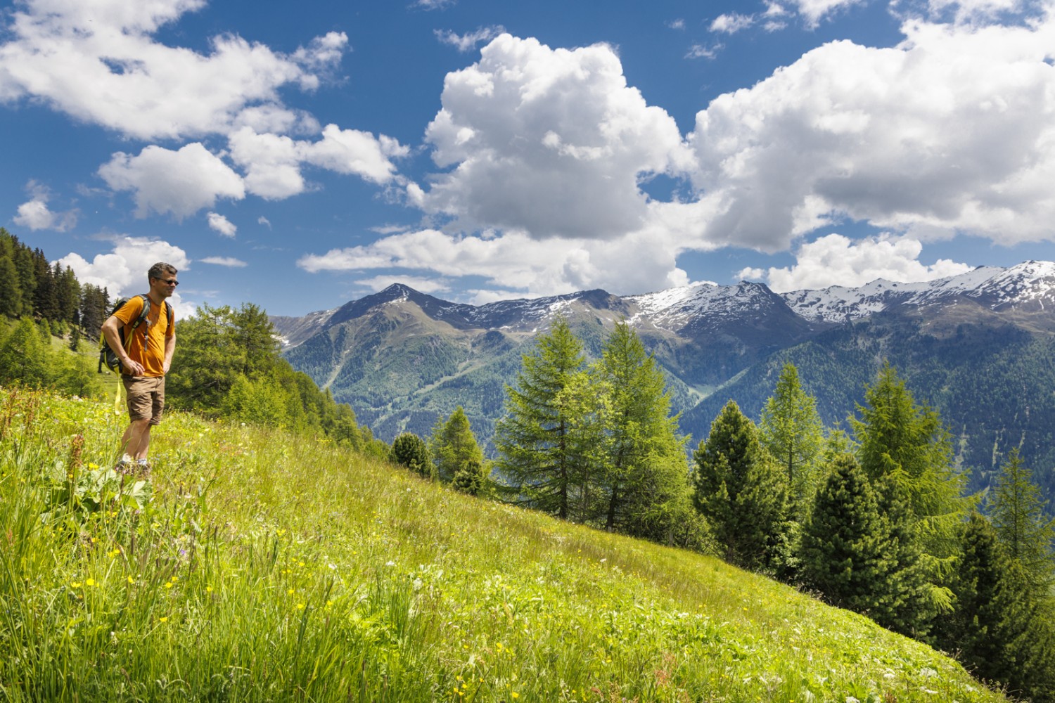 Der Höhenweg bietet eine fantastische Aussicht auf die Grenzgipfel in Richtung des Südtiroler Vinschgaus. Bild: Severin Nowacki