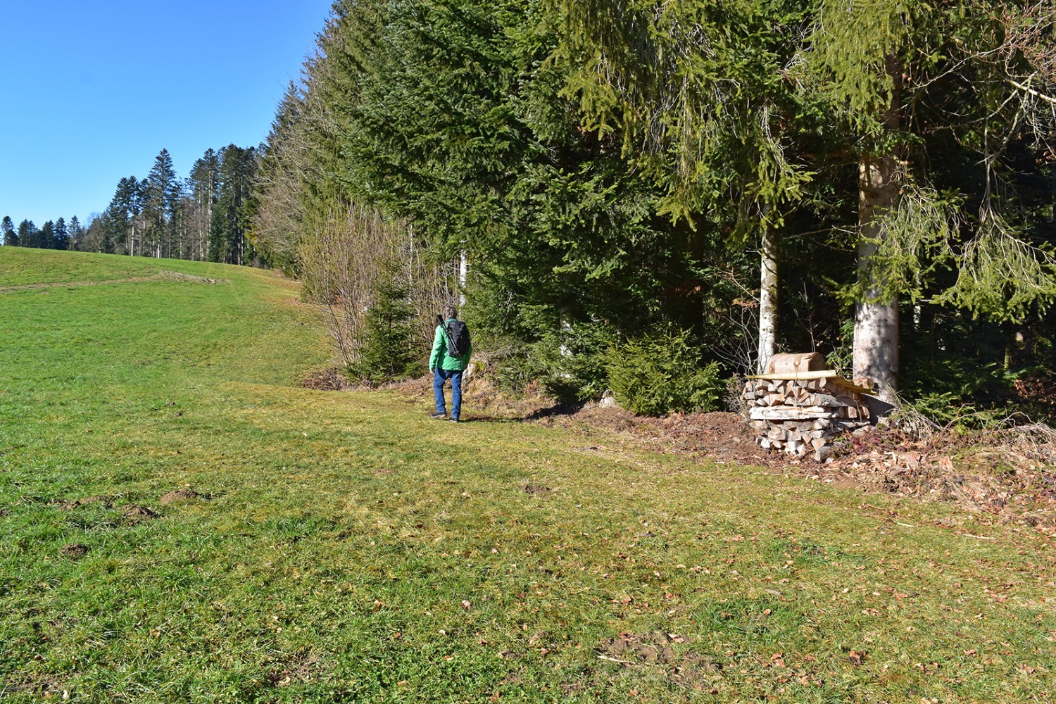 Der abwechslungsreiche Weg führt auch dem Waldrand entlang.