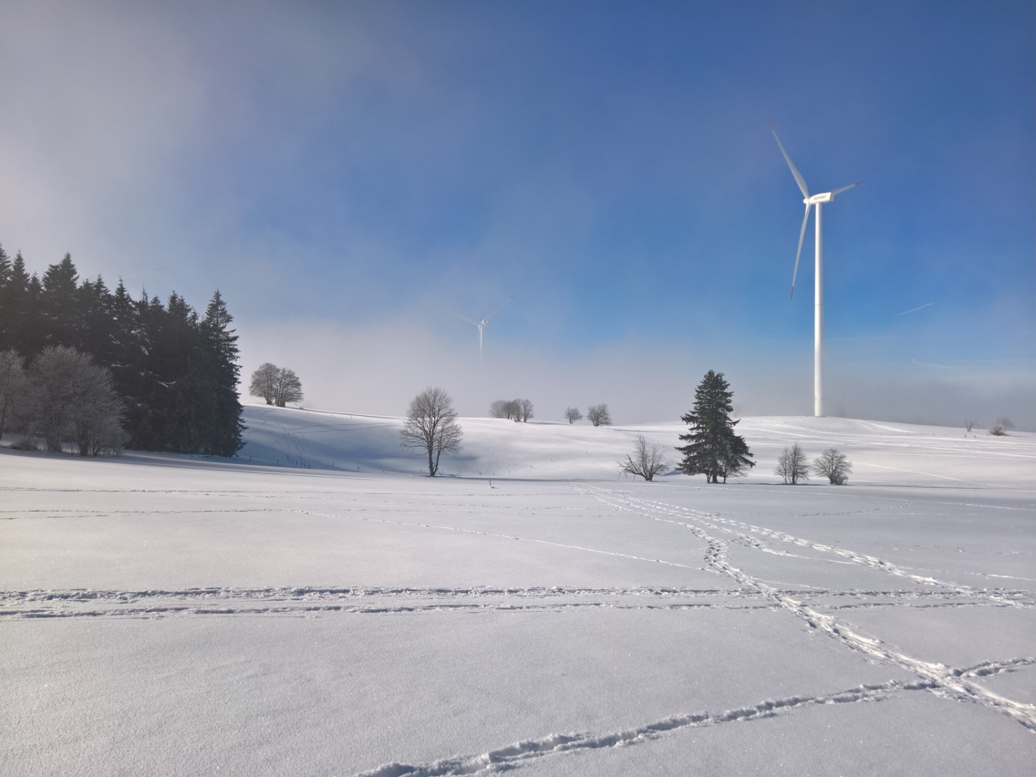 Die Route führt auch an den grazilen Windrädern des Windparks Mont Crosin vorüber. Bild: Andreas Staeger