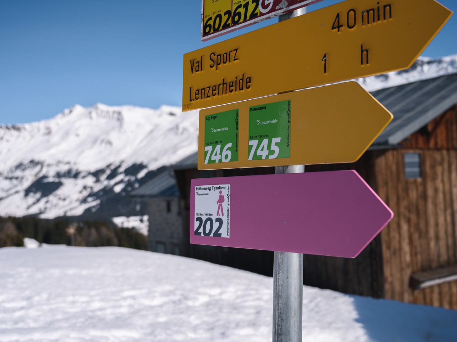 Die pinken Winterwanderwegweiser führen einen zuverlässig durch die ganze Route. Bild: Jon Guler