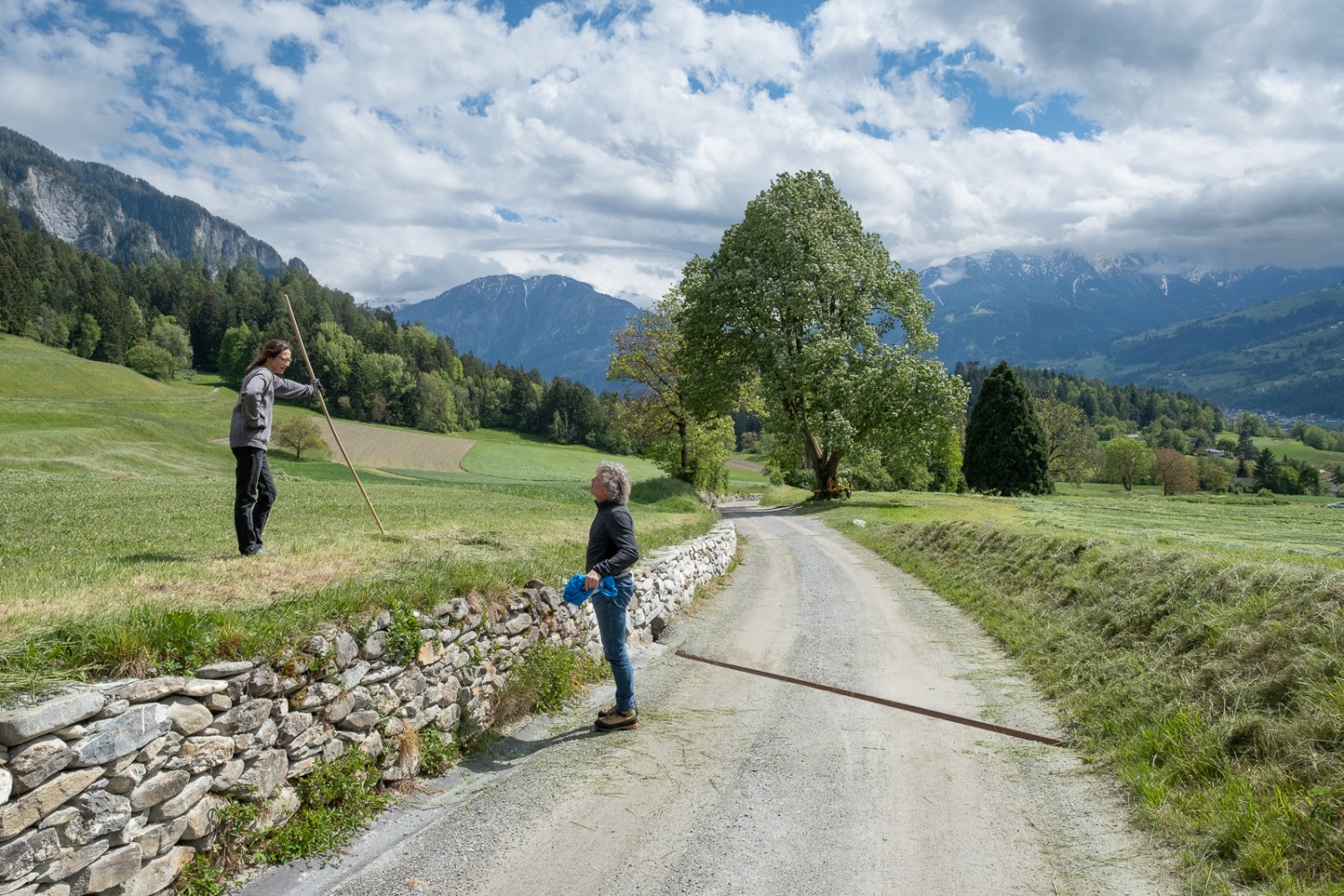 Il sentiero è costeggiato per lo più da prati agricoli, qui presso l’azienda agricola Biohof Dusch. Foto: Markus Ruff