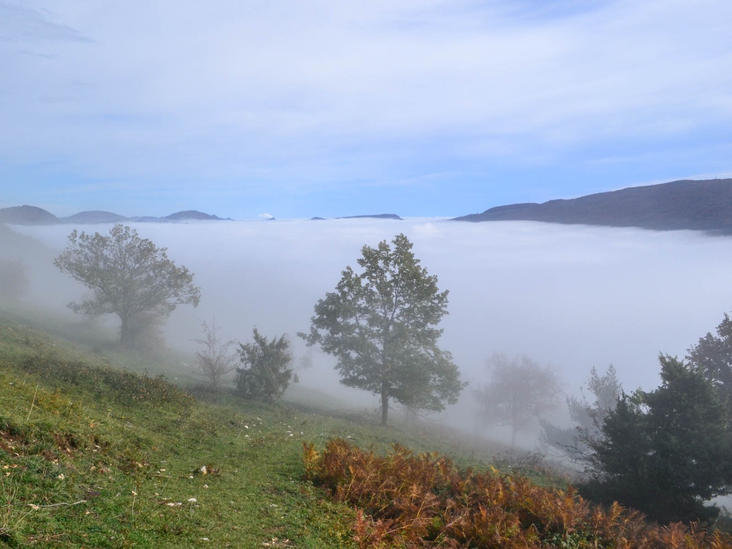 An der Grenze zwischen Sonne und Nebel. Bild: Sabine Joss