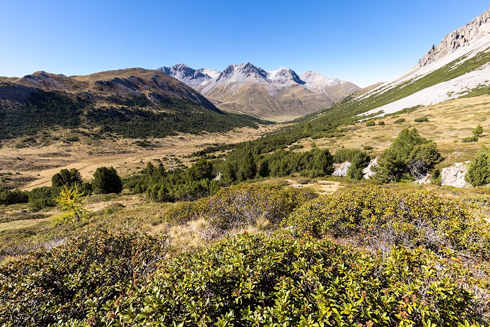 Blick ins Tal der Clemgia kurz vor dem Pass da Costainas. Bilder: Daniel Fleuti
