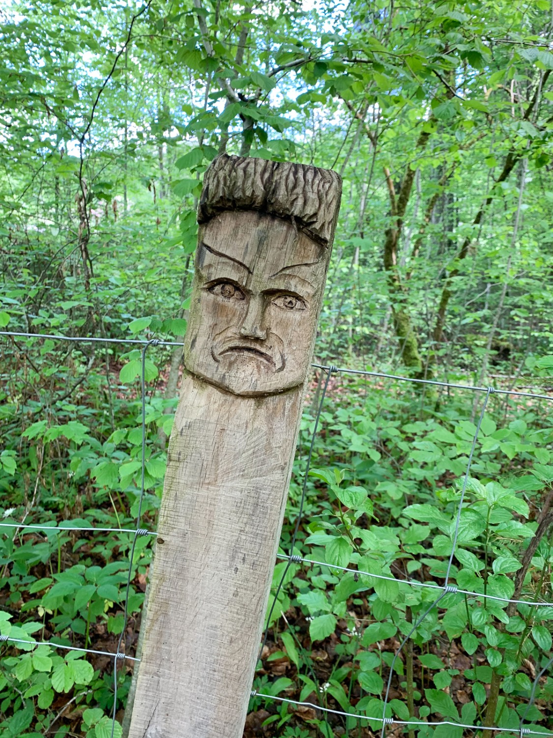 Nach dem Kloster Hauterive säumen unzählige mit Gesichtern oder Tieren eingeschnitzte Holzpfähle den Weg der Saane entlang. Bild: Monika Leuenberger