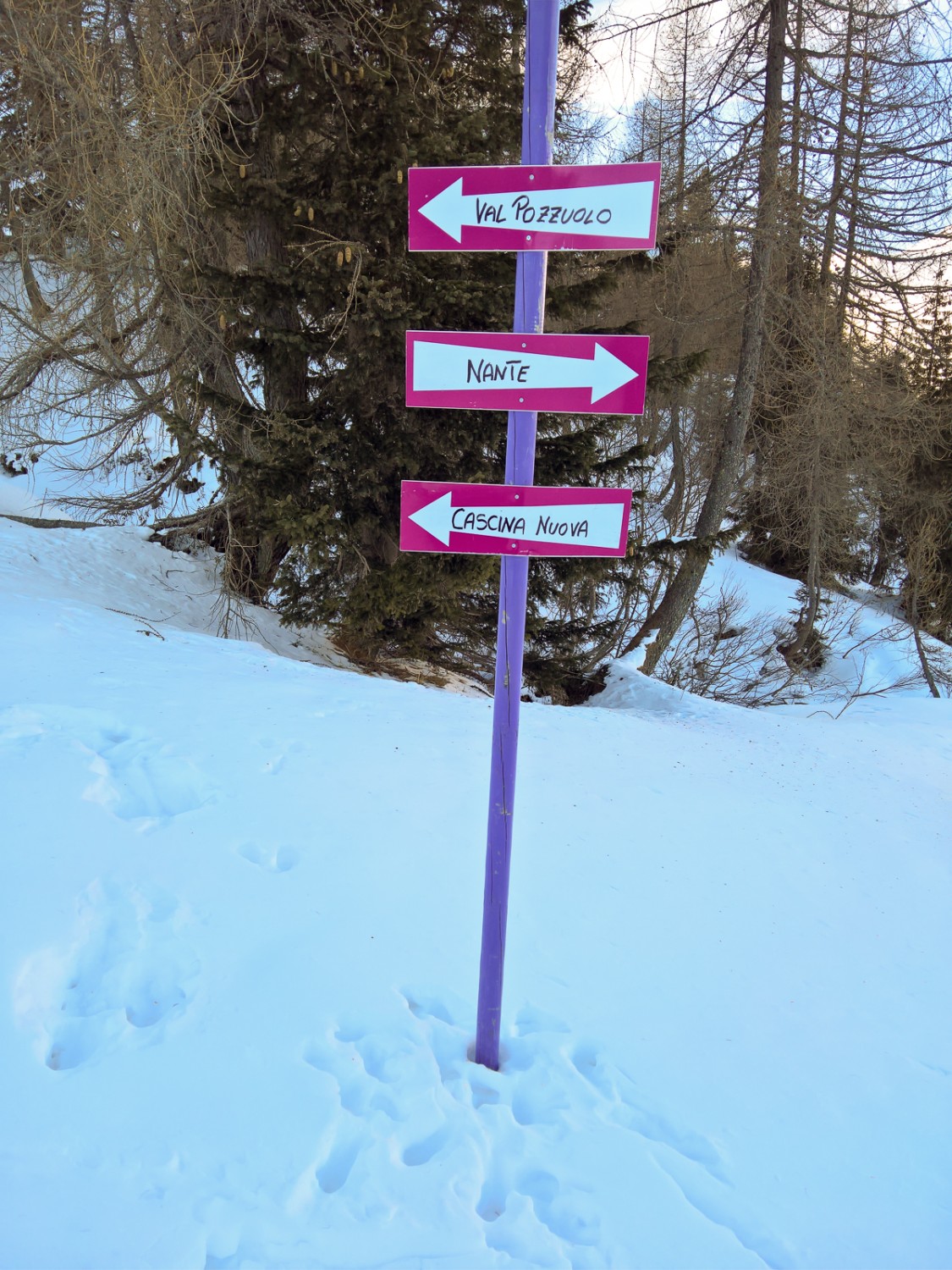 I pali viola e i pannelli rosa vivo indicano la direzione da seguire. Foto: Andreas Staeger