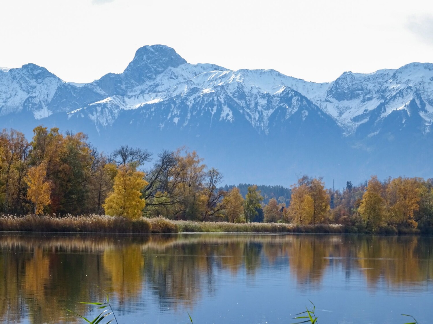 Le Gerzensee est un lac de «glace morte» créée par une immense masse de glace enfouie sous des éboulis rocheux.