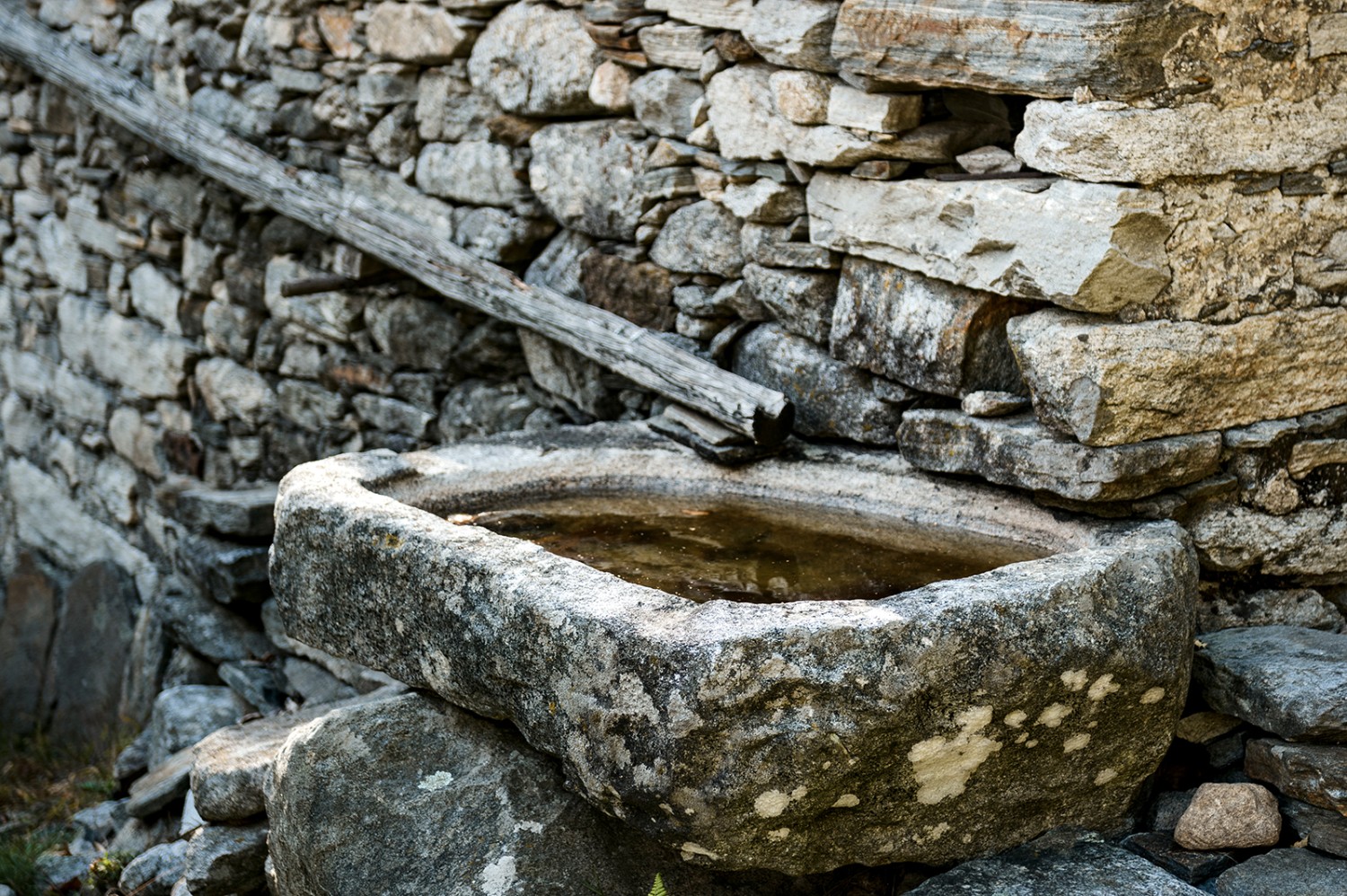 Trogoli monolitici raccolgono l’acqua piovana. Immagini: Susanne Keller