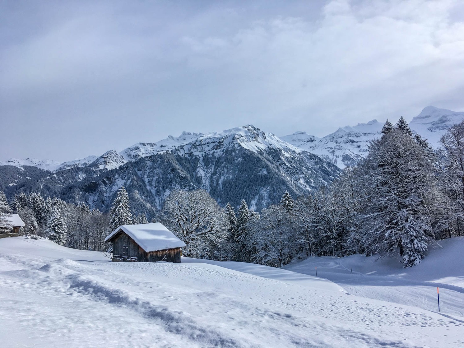 Winteridylle oberhalb von Braunwald. Bild: Claudia Peter