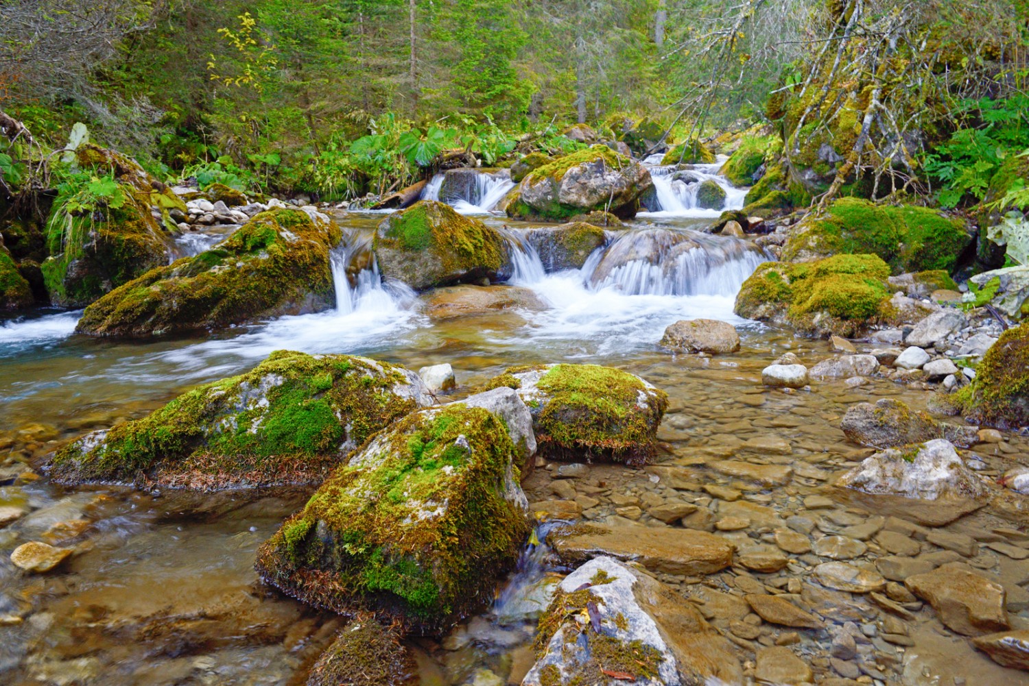 Die kleinen Wasserschnellen der Vièze. Bild: natur-welten.ch