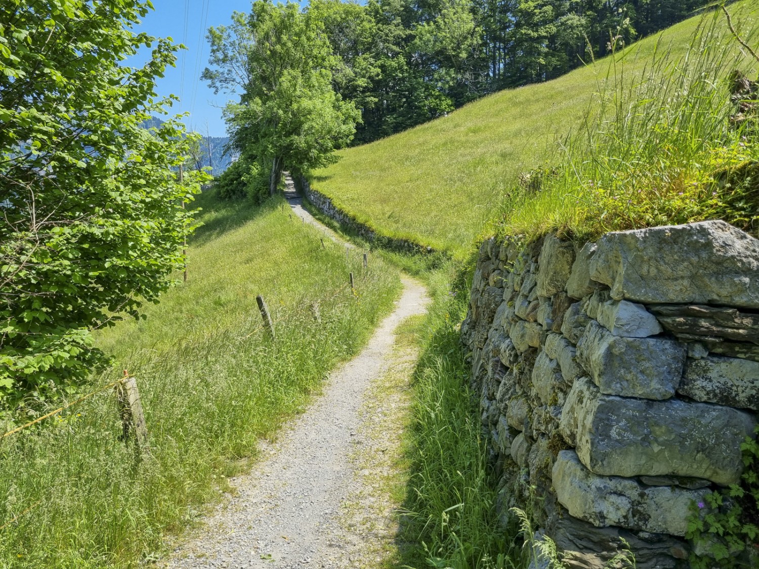 Molti tratti del sentiero sono costeggiati da muretti a secco. Foto: Simon Liechti