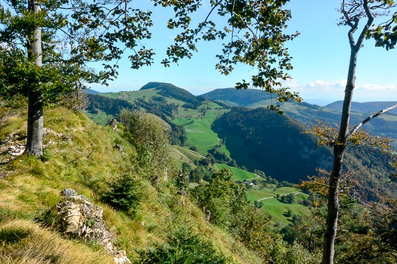 Vom Vogelberg geniesst man eine tolle Aussicht ins Mitteland und über die Hügelzüge der Juraketten. Bild: Thomas Gloor
