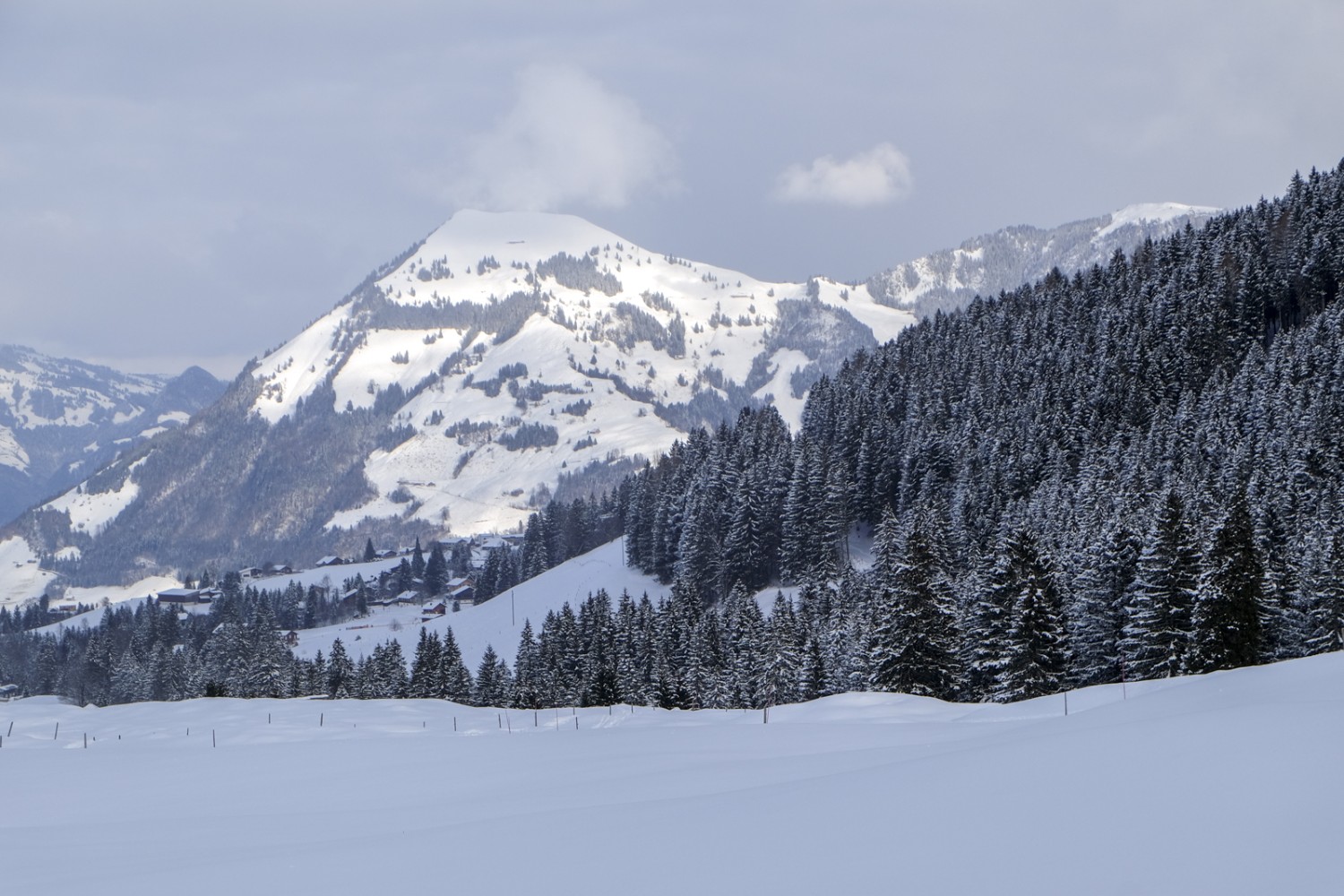 Das Buochserhorn und rechts der Fichtenwald auf dem Wirzweli. Bild: Elsbeth Flüeler