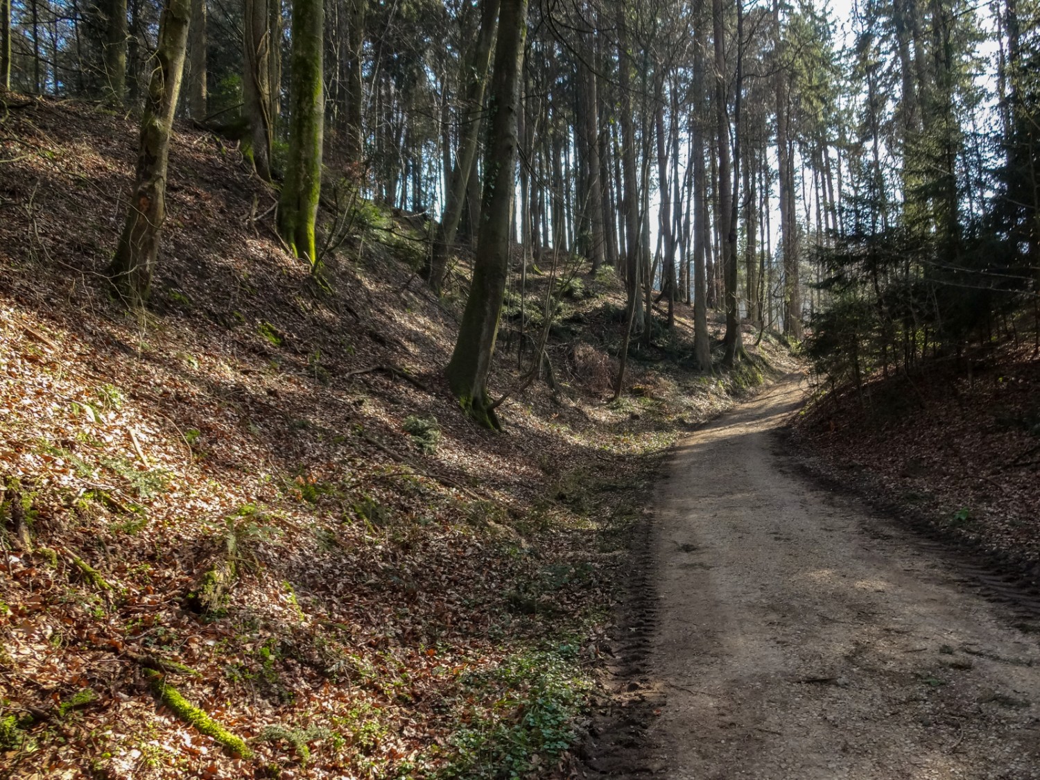 Ein versunkener Pfad kurz vor der Petinesca-Stätte. Bild: Miroslaw Halaba