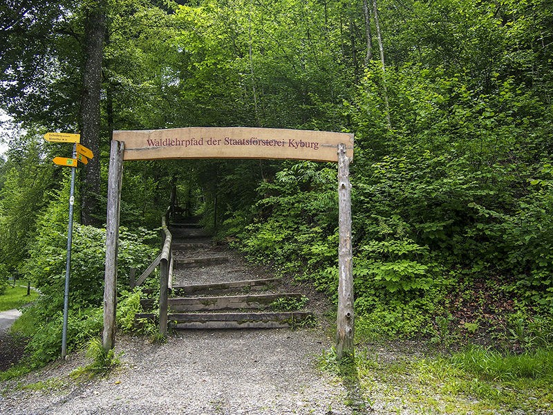 La pista forestale è ancora a 150 metri, quindi si raggiunge la destinazione. Foto: Associazione «I castelli svizzeri»