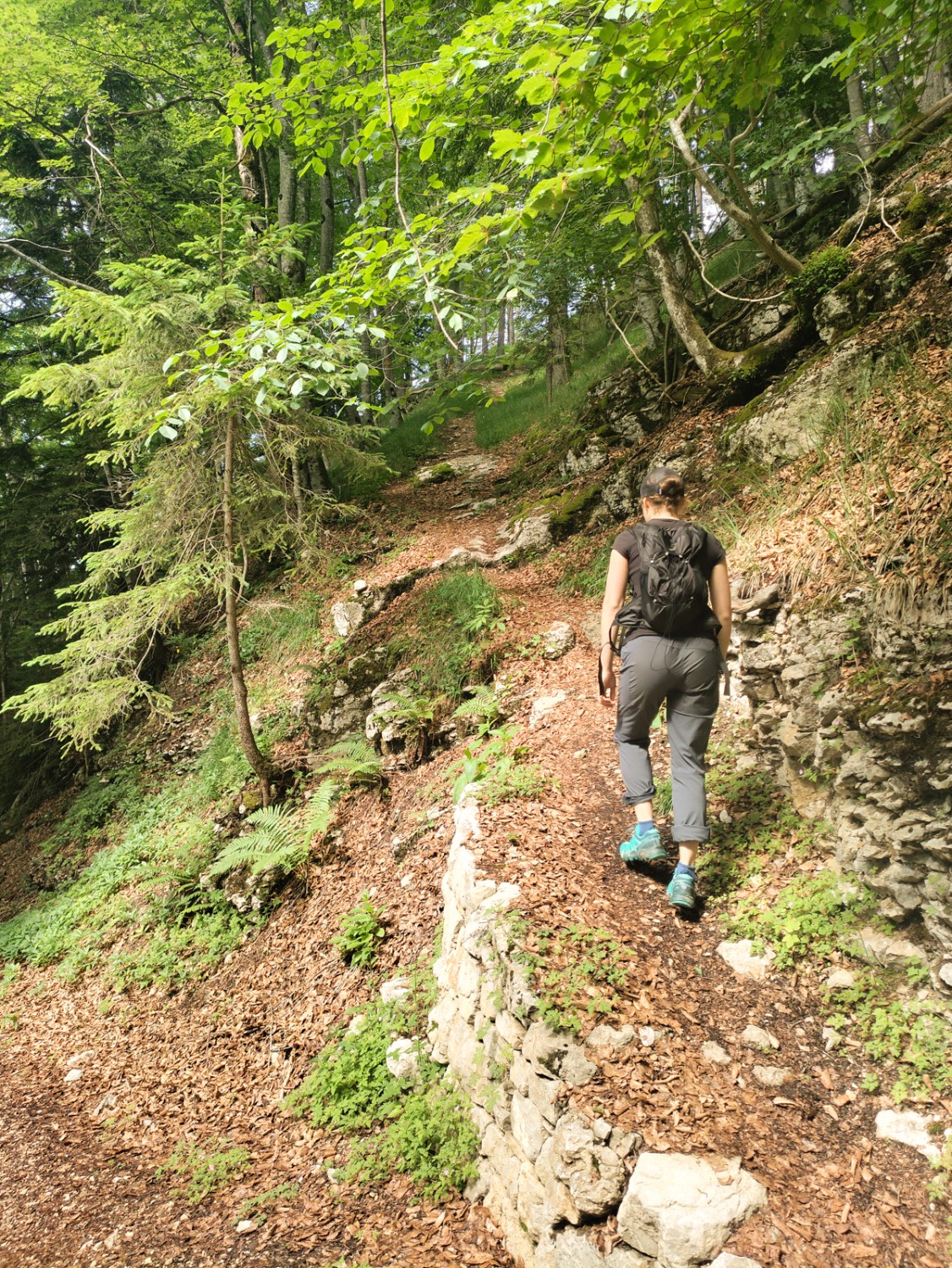 Ascension du Mont Raimeux: l’étroit sentier est consolidé par de solides murs en pierres sèches. Photo: Michael Dubach